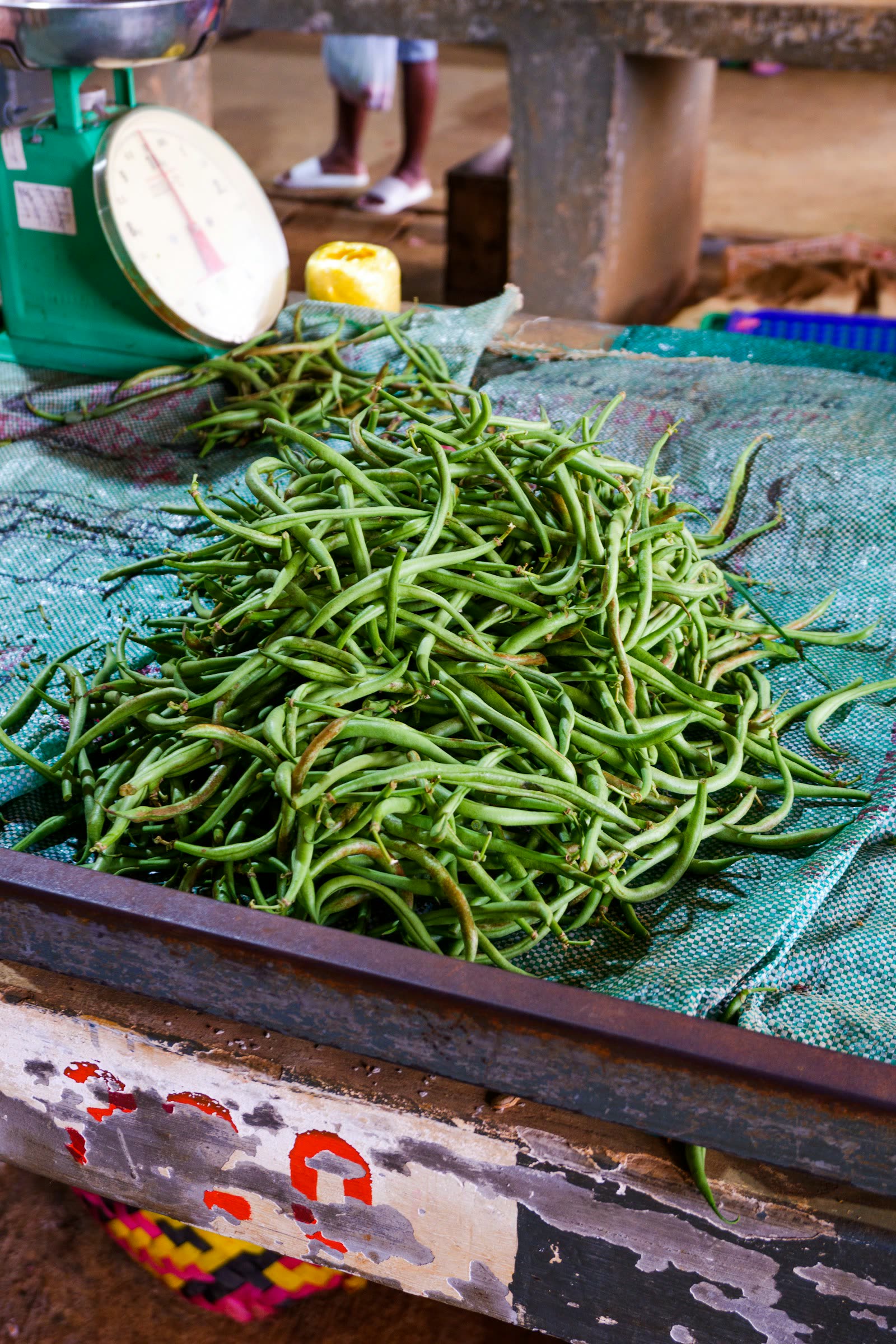 A heap of fine green beans